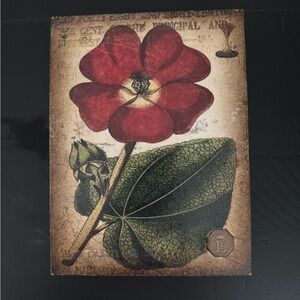 Sid Dickens Limited Edition 2017